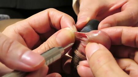 penis frenulumuna piercing yaptırmak