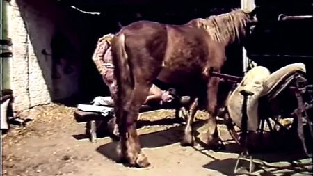 İspanyol Sineği (1985)