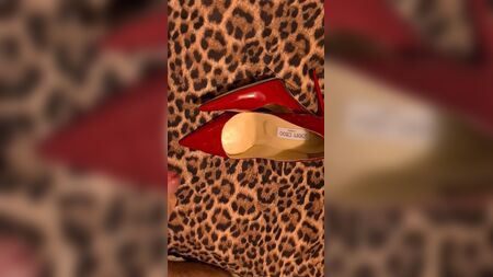Karımın Jimmy Choo topuklu ayakkabılarına boşal