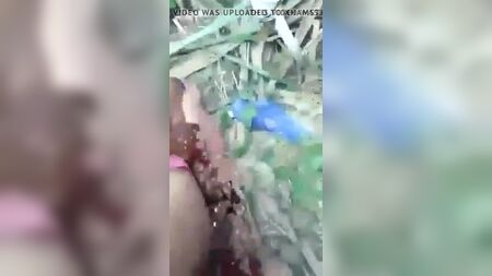 Kırsal kesimden bir kız arkadaşla tarlada sevişmek