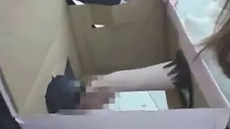 Kutudaki Penis 02