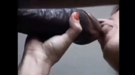 Kocaman penis, iri Hint penisi
