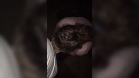 Dirtygirl614 bir erkeğin aletini yalıyor ve bir yabancıyla prezervatifsiz sevişiyor