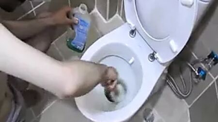 Reina Hanım'ın Türk Evcil Köle Eğitimi Yaşam Tarzı