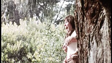 Sınırın Güneyi (1976, ABD, tam film, DVD kopyası)