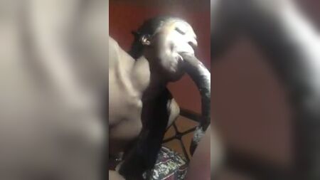 TRANNY, 46 numara BBC'yi yalayıp yutuyor