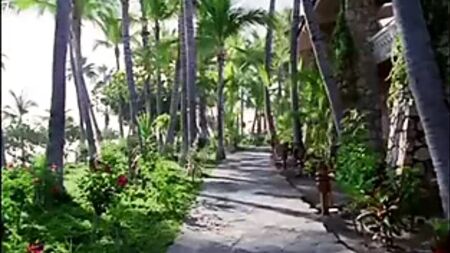 Hotel Erotica Cabo: İlkel Arzu
