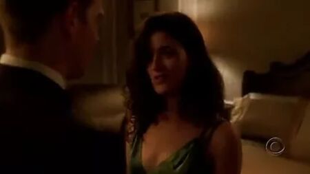 Cote De Pablo: Gizli Kimlikler