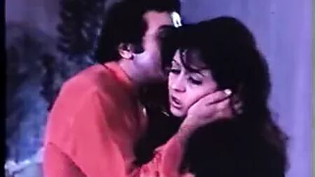 Nour El Sherif ve Zizi Mostafa