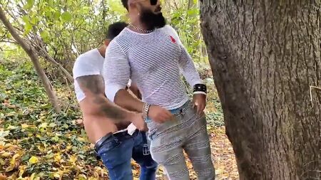RFC HotPark: Viktor Rom ve Hairy Sam
