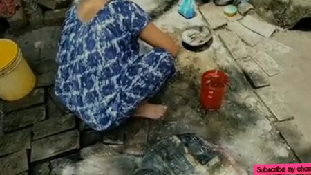 Tamil kökenli çiftçi karı kocanın seks videosu