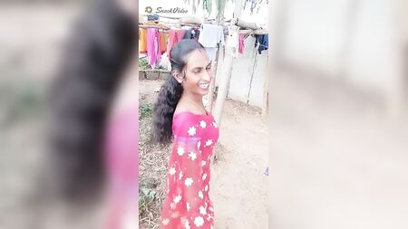 Thirunangai Tamil travesti dansı