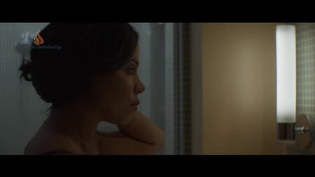 Sanaa Lathan - Mükemmel Erkek 2015