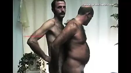 Doğu Ayısı
