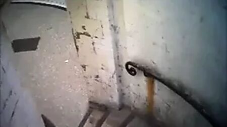 Kır evi tatili