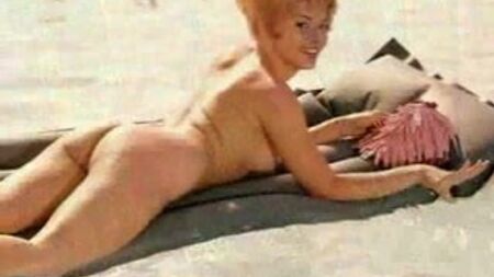60'ların Playmate'i