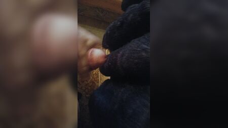 Siyah suni kürk paltoya boşal