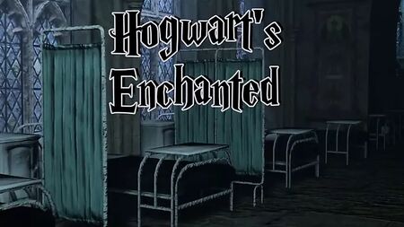 Harry Potter - 3D Porno Oyunu