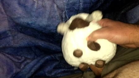 Pokemon Wooloo peluşuyla seks