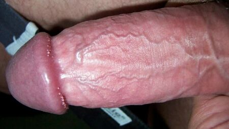 Penisimin fotoğrafları