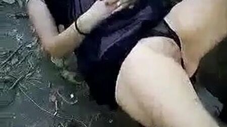 Pau Ormanı'nda 2
