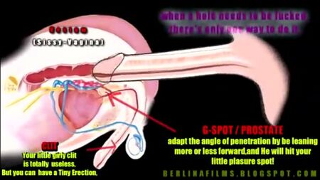 Anal orgazma nasıl ulaşılır! Görülmesi gereken bir [sissy, transeksüel, tuzak, orgazm, cum, seks, sürtük]