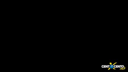 yüzde yüz