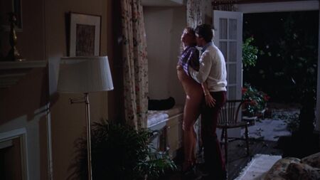 Rebecca De Mornay'ın çıplak tam ön plan kılları ve kısa seks sahnesi - Risky Business (1983) HD 1080p