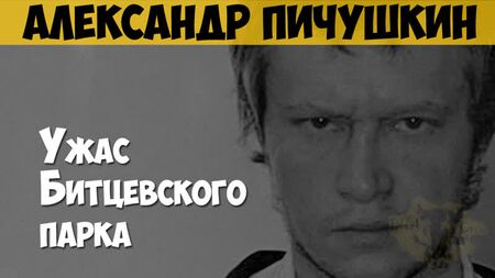 Aleksandr Pichushkin. Seri katil, manyak. Bitsevski Parkı'nın dehşeti