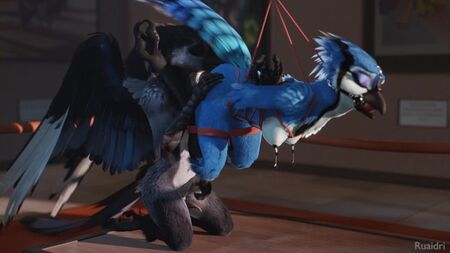 3D Yiff - ruaidri, Furry Porno, Seks, E621, Kadın, Kuş, Esaret, BDSM