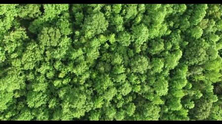 Video: Audio Stories. Aldatma Hikayeleri. Hayattan Hikayeler