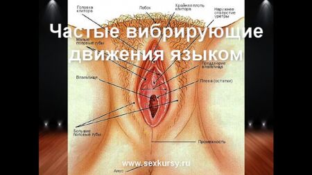 Künilingüs, orgazm, anal seks ve mastürbasyon nasıl doğru yapılır?