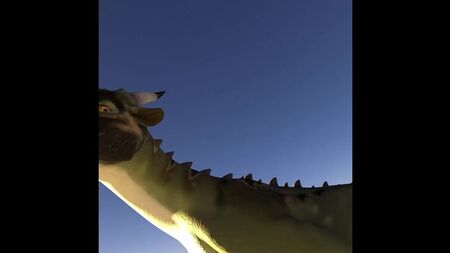 Dragon'un tam tur POV'u