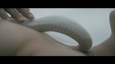 Paz de la Huerta, Dianna Agron vb. Çıplak - Bare (2015) Çevrimiçi İzle / Dianna Agron, Paz de la Huerta - Çıplak