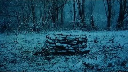 3D Canavar Sadako_1080p The Ring Hentai Kural 34 porno videosu