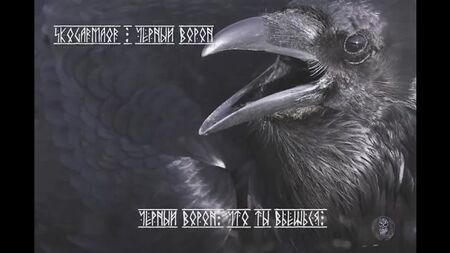 Skogarmaor - Black Raven (sözlü video)