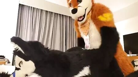 arkadaşla fursuit giyip oynamak