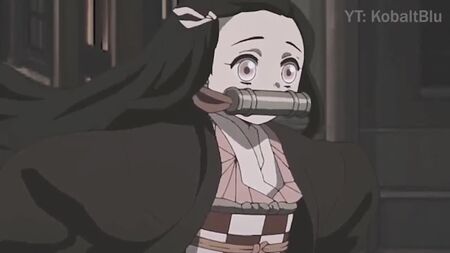 Nezuko Koşusu