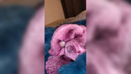 Şinşilla kürküne arka arkaya iki kez boşalma